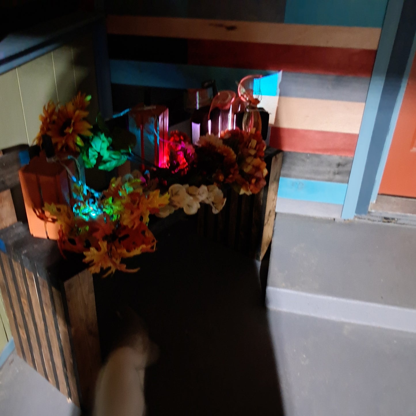 Wooden Bench - Indoor/Outdoor - Great Display For Holiday Also